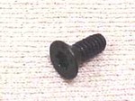 Flat Head Torx 6-32"