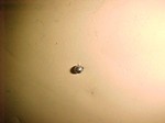 Used Waterman port nozzle body check stainlees steel ball