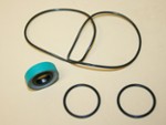 Fuel Pump Seal Kit Super Sprint Waterman