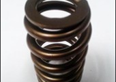 1200 Series Drag Racing Springs